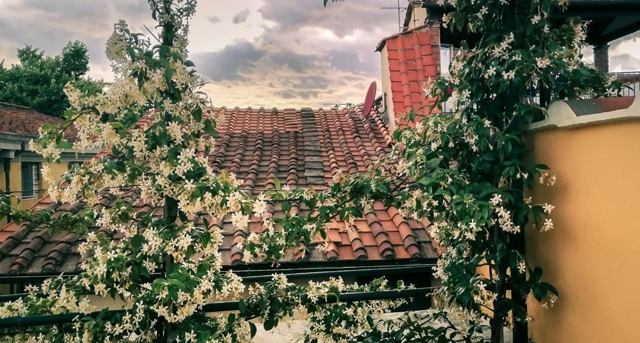 Villa De Maestri - With Elevator Since September 2025 Лука Екстериор снимка